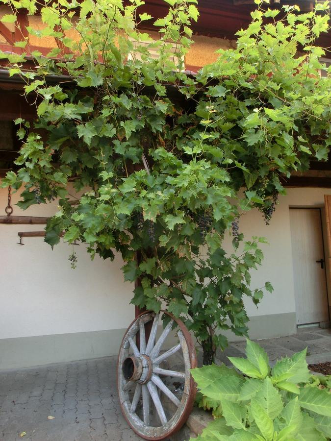 Отель Zehnthof Geldersheim Экстерьер фото